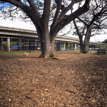 Dog Park at Moanalua Community Park photo 1